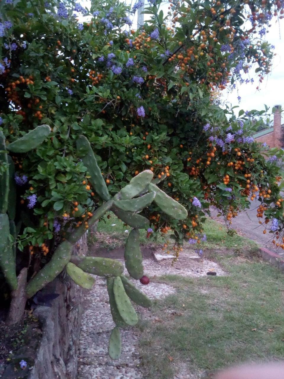 Jardines De Don Bosco Daire Salto Dış mekan fotoğraf